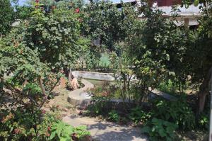 廠(chǎng)容廠(chǎng)貌